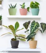 5 PIS COMBO OF THE Plastic Round Flower - Image 2